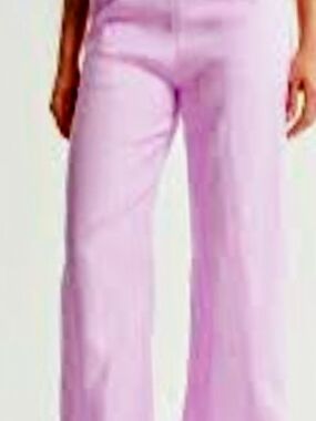 Abercrombie & Fitch-Linen Collection Clean Front Wide-Leg Pants Lilac-29 Short